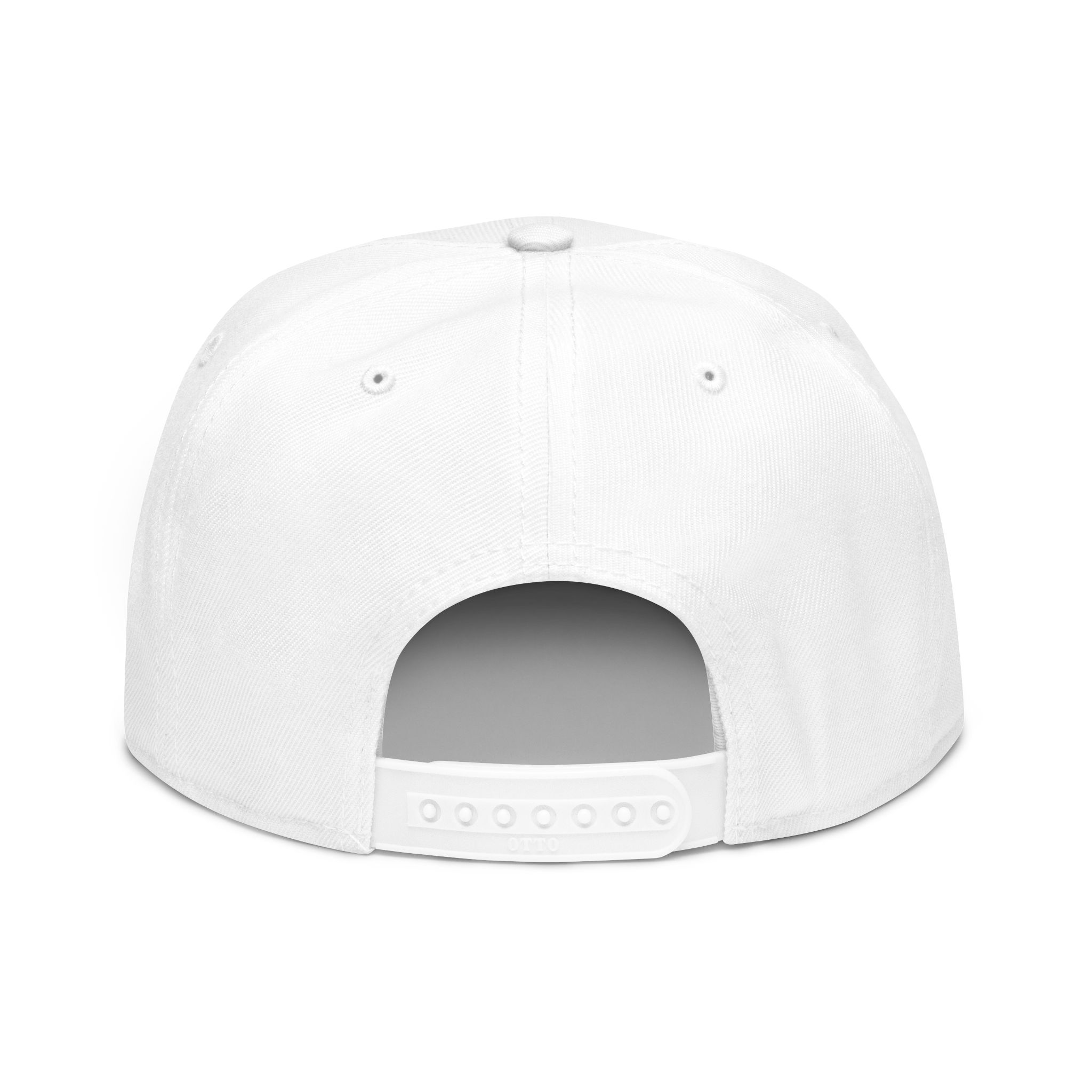 Accept the Frog - Embroidered Snapback White Classic Cap - Image 2