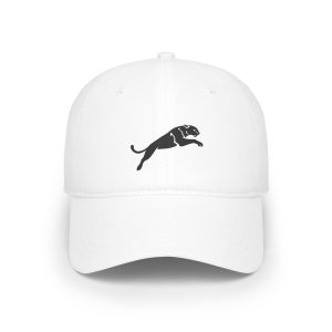 Dynamic Panther Low Profile Baseball Cap - Casual Athlete Style